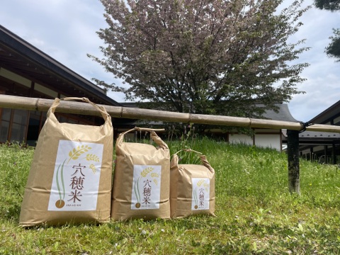 旨みたっぷり！穴穂米５kg