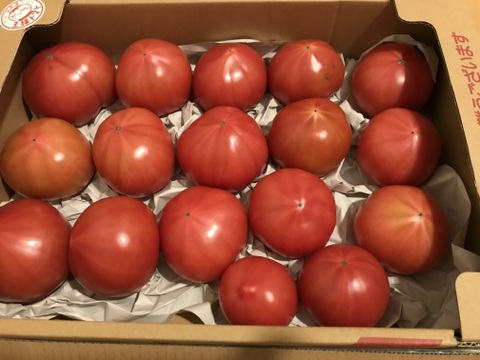 「王様トマト」の試験販売にご協力お願いします。3.6ｋｇ/箱・品種名：「ごほうび」