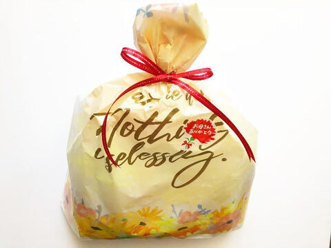母の日ギフト】山形県産 美味しい山菜 いたどり水煮 130gx3袋＆茸