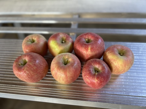 【人気品種】🍎早生ふじ約3キロ🍎8〜12玉《家庭用》ID284719