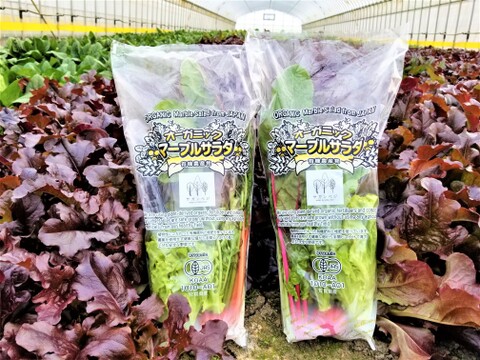 植物性で育てた葉野菜ブランド　有機JASちょこっとサラダセット　送料相当分値引き中