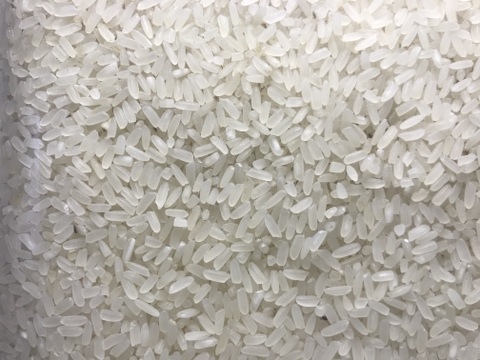 異国感じるお米！『サリークィーン』白米1.5kg