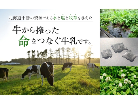 十勝オーガニック牛乳900ml×2本　有機・グラスフェッド・A2ミルク・ノンホモ・低温殺菌・放牧・北海道十勝・産地直送