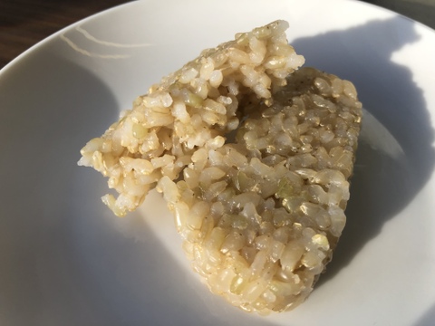 手軽に玄米！チンして食べる玄米おにぎり〈冷凍〉８個入×4袋