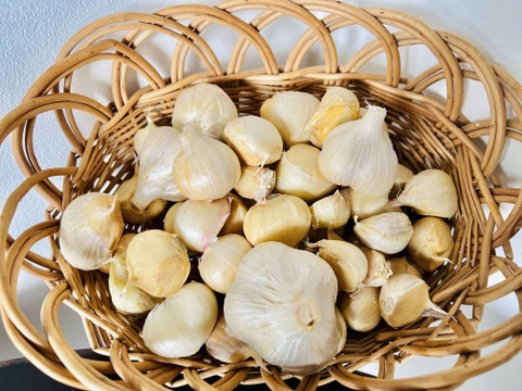 オーガニックホワイト六片 〈バラ売り〉500g🧄有機栽培🌿Organic Piece of Garlic