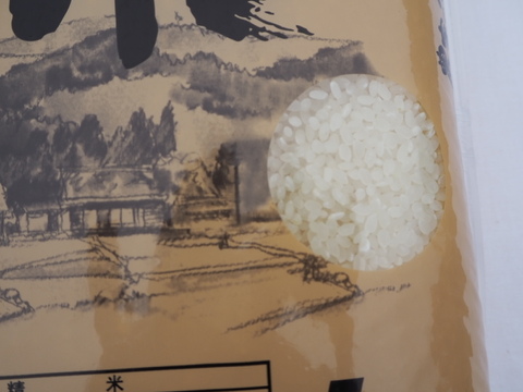 農家の食べてるお米　白米　10kg 令和四年産