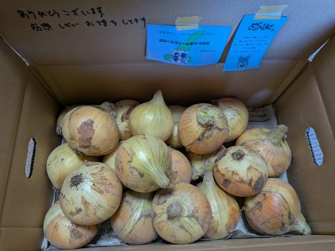 【コスパ重視】淡路島産新玉ねぎ　訳あり品〜毎日の料理の強い味方〜　5kg（サイズ混合）