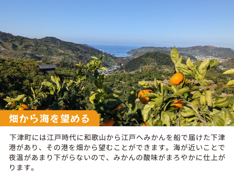 とれたてしもつみかん10kg｜和歌山県海南市下津町から産地直送でお届け