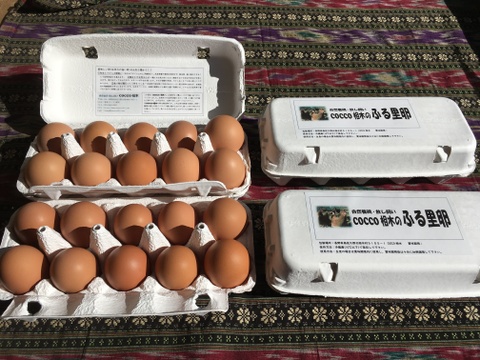【加熱調理用】放し飼いの鶏が産んだ卵８０個入り