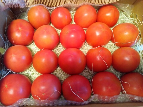 飛騨産大玉トマト3キロ箱
秋も美味しい太陽の恵も最終！