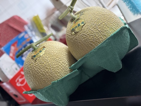 【冷蔵便】【1.6kg・2玉入】北海道夕張郡産キングメロン