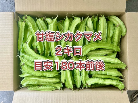 【鹿児島産】甘塩シカクマメ箱込み2キロ^_^