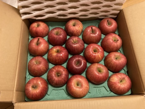 【販売中！人気商品】青森県産りんご「サンふじ」家庭用 キズ有 約5kg【美味・光センサー選果済】