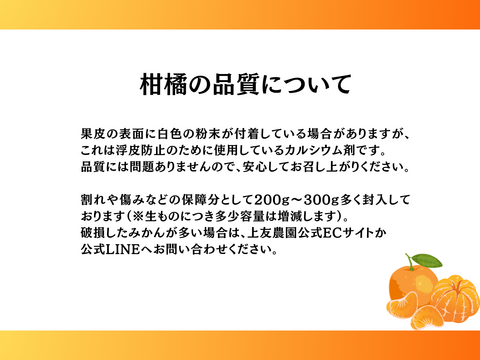 柑橘を初めてご購入の方向け！産地直送柑橘セット
