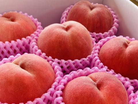 🍑夏ギフト🍑果汁たっぷり！旬の白桃・品種おまかせ（約2kg・6〜8玉入り）（贈答用）