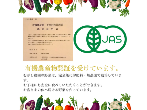 有機JAS認証野菜 さつまいも ご家庭用 サイズ混合 5kg