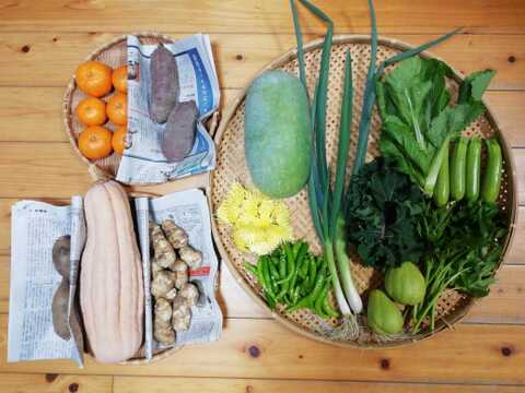 【農薬化学肥料不使用】キクイモ入り野菜セット【８種類以上の野菜】【金曜日発送】【熨斗(のし)対応可】【８０サイズ箱】