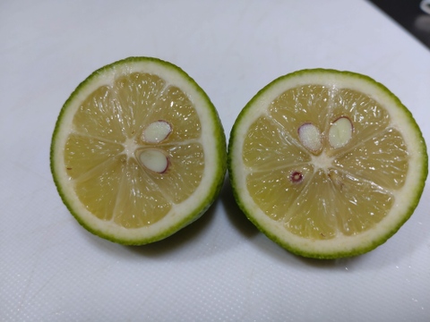 【訳あり】広島県産　グリーンレモン🍋