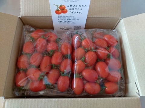 フルーツ級の甘さ！激あまミニトマト(アイコ）2kg