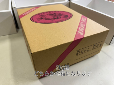 桃【10種類の中から品種おまかせ】硬め&追熟させて柔らかめ食べ比べ　2kg 【常温】