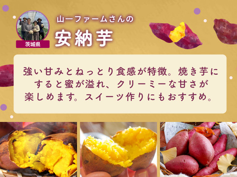 【数量限定150セット】さつまいも3品種食べ比べセット（食べチョク公式）