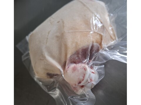 ジビエ　やわらか仔イノシシ　【皮付き】【骨付き】　ウデ　690g