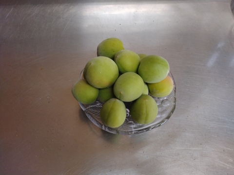 南高梅 和歌山県橋本市産 大玉3Lサイズ  4ｋｇ【送料無料】