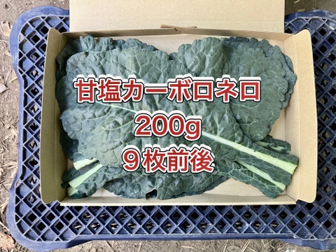 【鹿児島産】甘塩カーボロネロ箱込み200g^_^