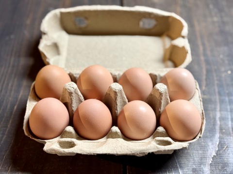 １日数量限定 平飼い『盈月の卵』世界最大級の鶏ブラマの卵8個入り