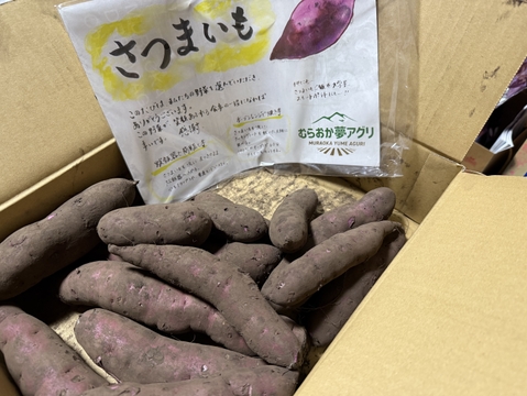 【販売農家さんわずかの商品】パープルスイートロード2ｋｇ(箱入)　10月以降～発送予定！　熟成期間１ヶ月超！　さつまいも！