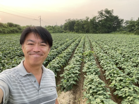 【毎朝収穫中！】枝豆 えだまめ フルーツ枝豆 2kg 秋田県産 横手市産 まるで果物！甘くておいしい 産地直送 農家直送 朝穫れ