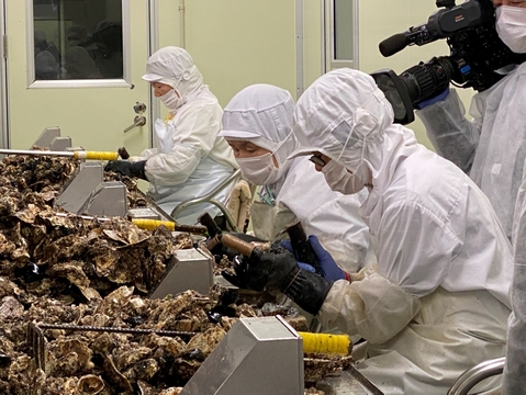 【冷凍】かきチリ饅頭　新感覚な逸品　電子レンジで簡単料理！　生食用かき使用　ご自宅用♪