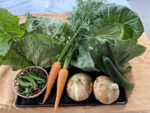 【淡路島から旬をお届け!】旬の春野菜セット