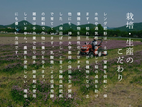 【令和7年新米】農薬・化学肥料不使用 冷めても美味しい「きぬむすめ」玄米　10キロ