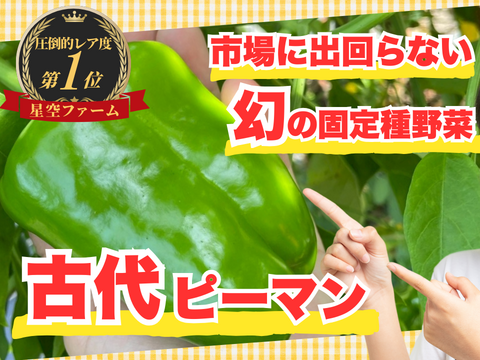 💡ピーマンの概念を覆す💡試しに子供に食べさせた結果・・・古代種ブランド野菜【【農薬不使用】【化学肥料不使用】【品種改良なしの固定種野菜】🫑2026年8月下旬予約🫑