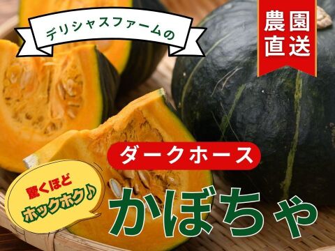 カボチャおためし！1.5ｋｇ