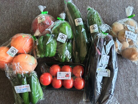 田口農園徳島「イチオシ旬野菜セット」
【たっぷりいろいろ　２０００円セット】農家人が選ぶ旬野菜のおまかせセットです。季節ごとの旬の世界農業遺産ブランド野菜を厳選してお届け致します。