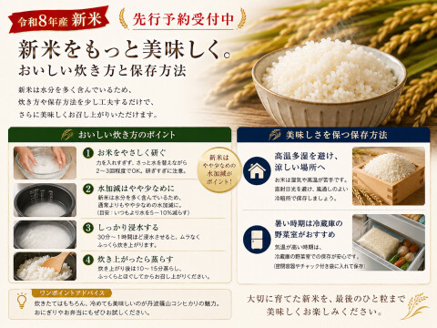 【令和8年産 新米・先行予約】丹波篠山産 コシヒカリ 10kg 2026年産・農園直送 ご家庭用 新米 特 コシヒカリ こしひかり 10㎏ 数量限定 お米 米