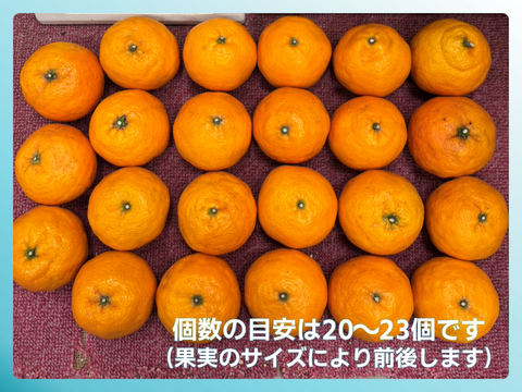 さっぱり濃甘🍊南津海【見た目訳アリ・大玉・5kg箱】