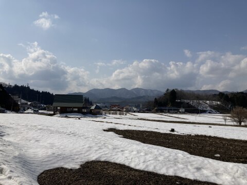 残りわずか!!≪4/10までのお届け≫【雪の下】泥つきにんじん（５Ｋｇ）【自然栽培・固定種】黒田五寸【農薬・肥料を使わずに育ちました】