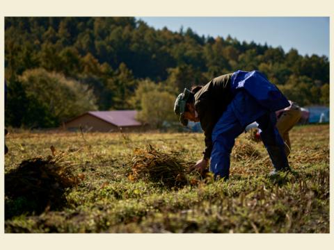 使いやすい1kg梱包 農薬不使用の有機大豆9kg  優しい味わい 北海道の大地で育った「とよまさり」　1月20日ころから発送予定