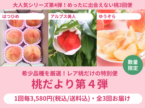 【売り切れ】【限定100セット】3種の桃だより第4弾（食べチョク公式）