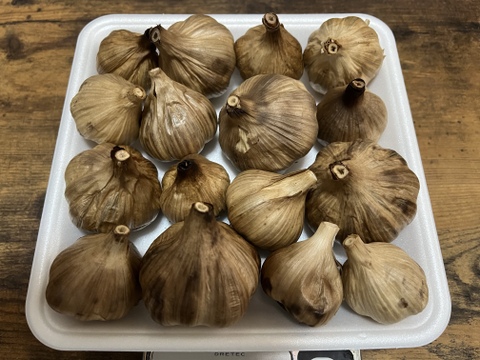 31 自然栽培　黒にんにく 人気　サイズいろいろたっぷり16個　令和4年度新物　食べやすくて美味しい