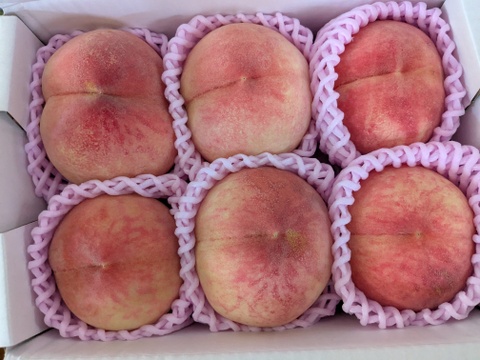 樹上完熟あかつき（桃）朝どり直送便1.5kg(5〜6玉入り)：福島県産の