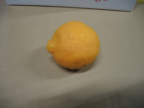 【和歌山産】ライム２キログラム ★殺菌剤不使用で皮までOK★果汁たっぷり！新鮮なメキシカンライム