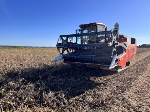 訳あり！エリモ小豆(900g) オーガニック(有機)小豆 北海道十勝 2025年産