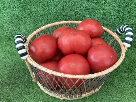 ジュワッと丸かぶり☆リコピンたっぷり！！
ハチが作った自然の桃太郎トマト（約2キロ）