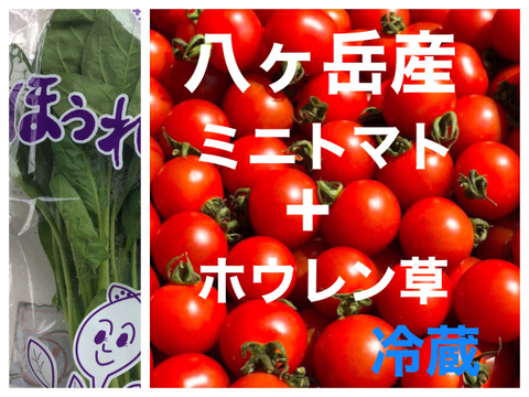 八ヶ岳さんミニトマト約１kgと無農薬サラダほうれん草2束 野菜の苦手なお子様にもオススメ 東京都産 食べチョク 農家 漁師の産直ネット通販 旬の食材を生産者直送