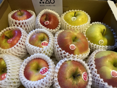 旬の青森りんご5種類食べ比べ🍎🍏訳ありご家庭用3kg 特別栽培りんご 低農薬  化学肥料不使用 希少品種が入るかも？詰合せ