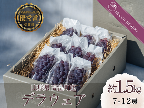 【2026年予約販売】甘さ弾ける！『デラウェア』1.5kg(7-12房)【お中元】